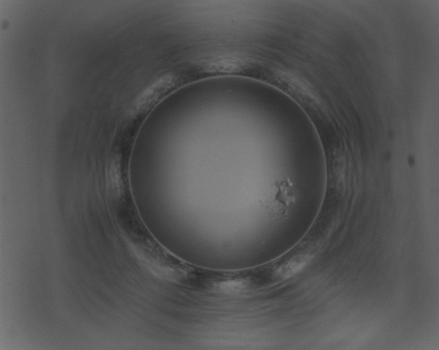 X0000071760312200606301137