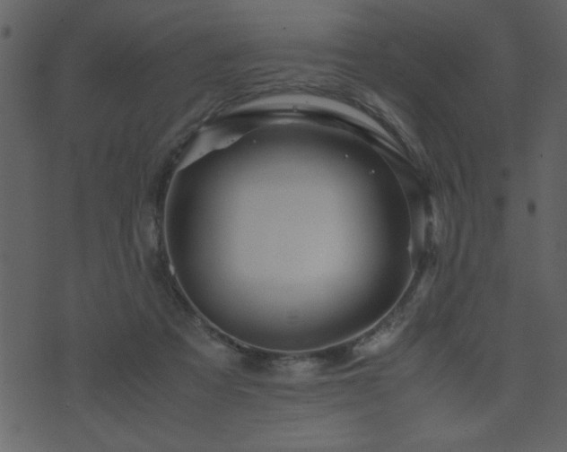 X0000071760313200606301137