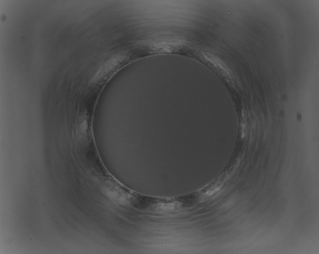 X0000071760314200606301137