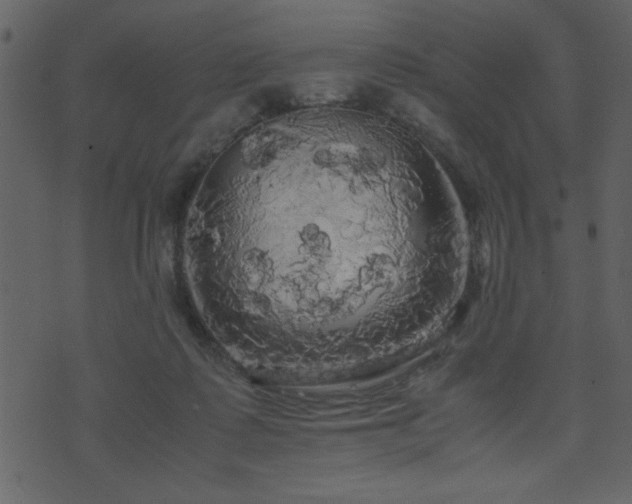 X0000071760315200606301137