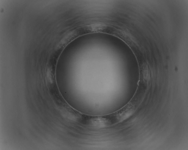 X0000071760316200606301137