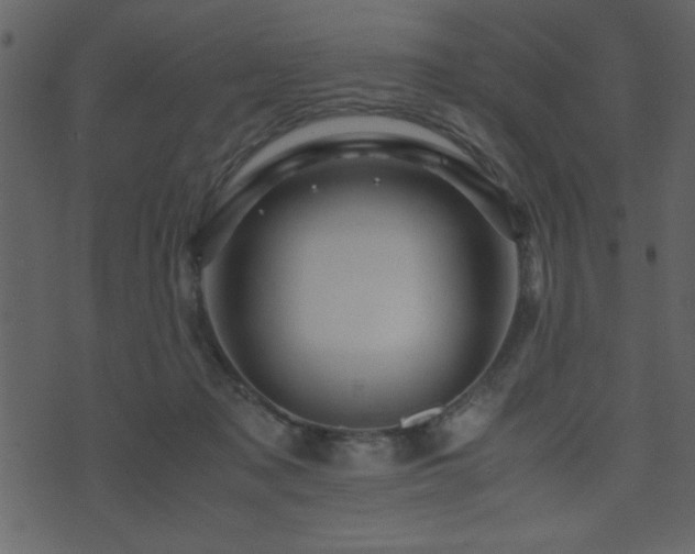 X0000071760317200606301137