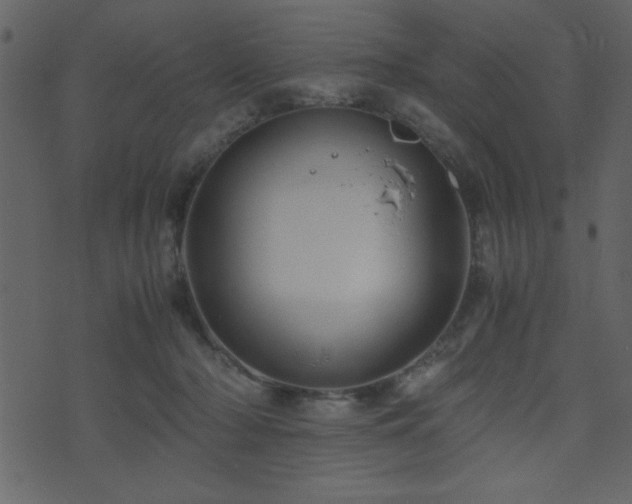 X0000071760318200606301137