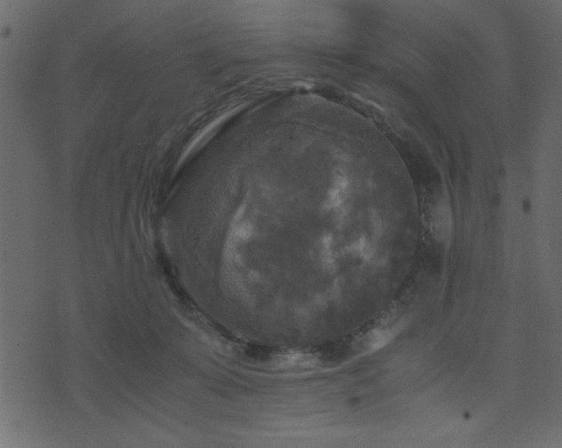 X0000071760319200606301137