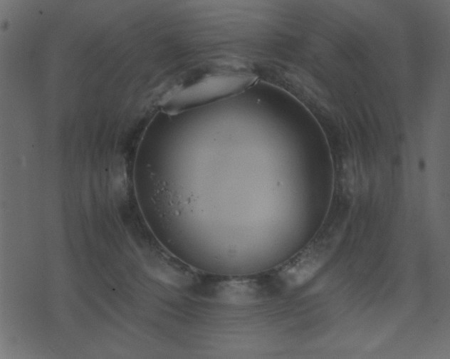 X0000071760320200606301137