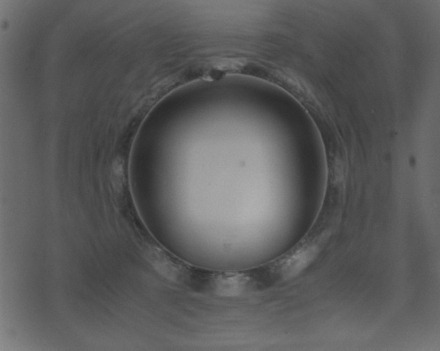 X0000071760321200606301137