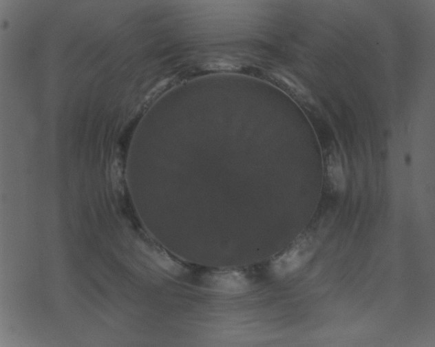 X0000071760322200606301137