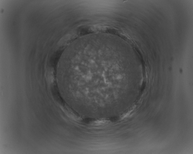 X0000071760323200606301137