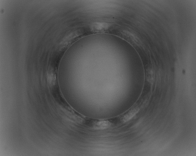 X0000071760324200606301137