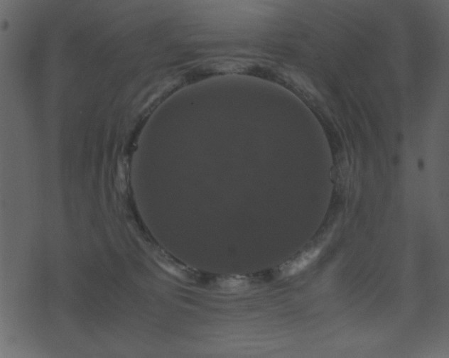 X0000071760325200606301137