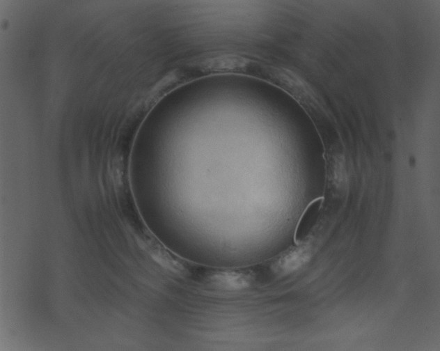 X0000071760326200606301137