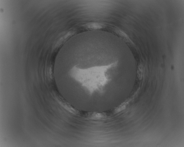 X0000071760330200606301136