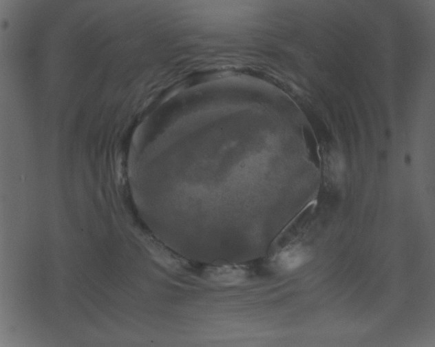 X0000071760331200606301136