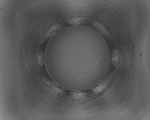 X0000071760332200606301136