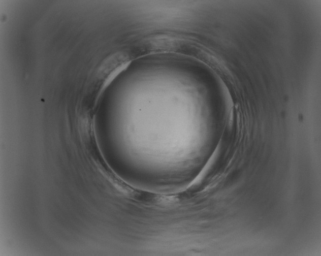 X0000071760333200606301136