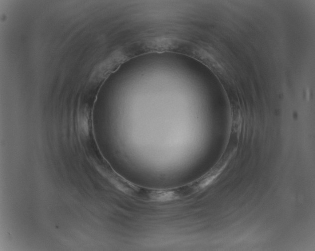 X0000071760334200606301136