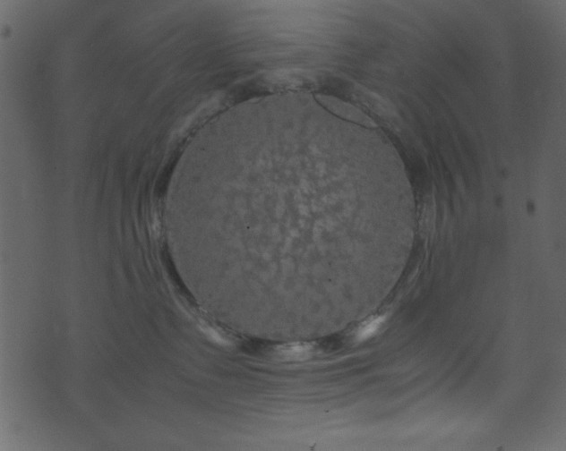 X0000071760335200606301136