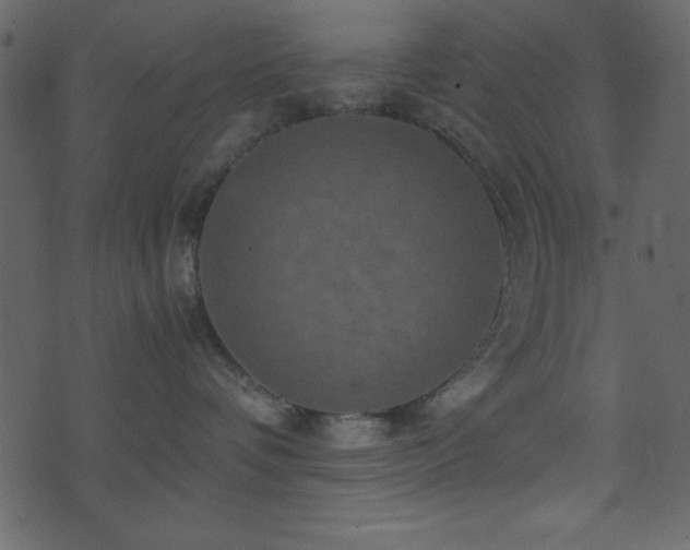 X0000071760336200606301136