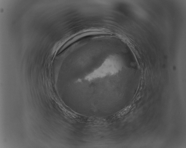 X0000071760337200606301136