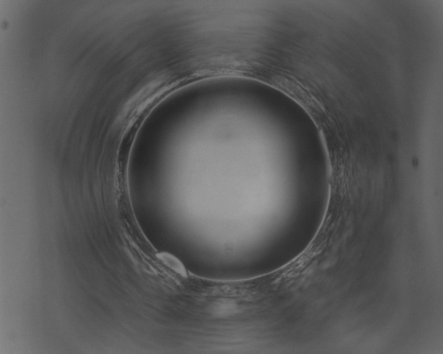 X0000071760338200606301136