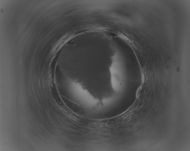 X0000071760339200606301136