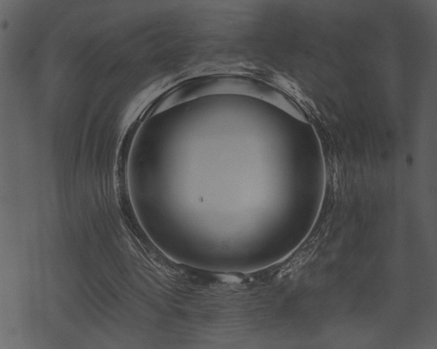 X0000071760340200606301136