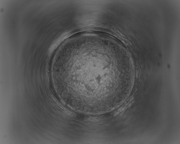 X0000071760341200606301136