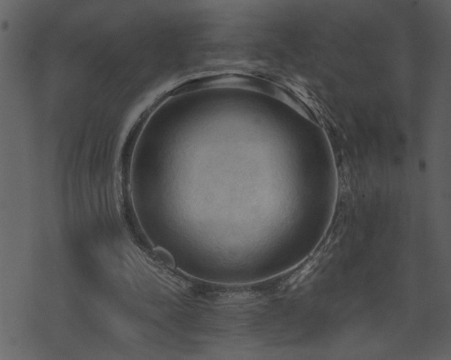 X0000071760342200606301136