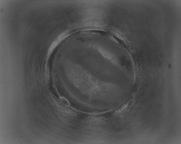 X0000071760343200606301136