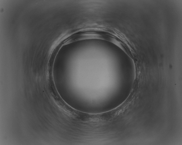 X0000071760344200606301136