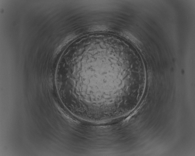 X0000071760345200606301136