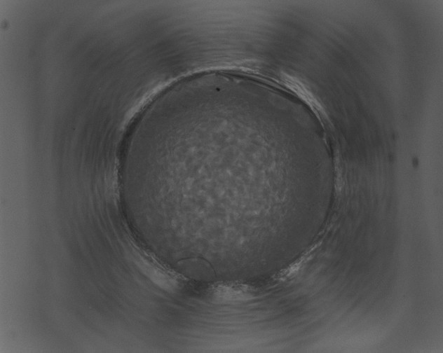 X0000071760346200606301136