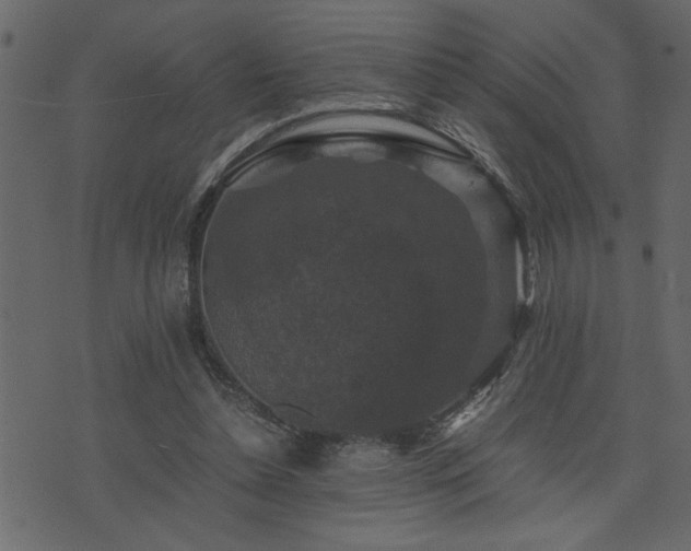 X0000071760348200606301136