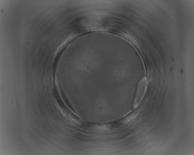 X0000071760349200606301136