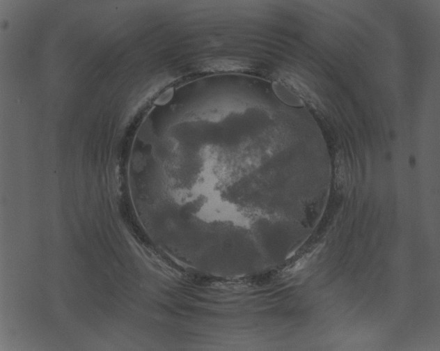 X0000071760351200606301136