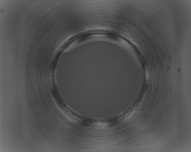 X0000071760352200606301136