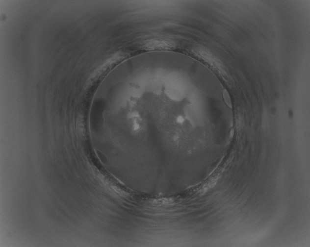 X0000071760353200606301136