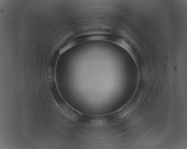 X0000071760356200606301136