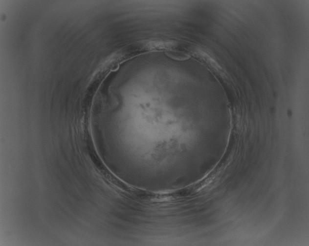 X0000071760357200606301136