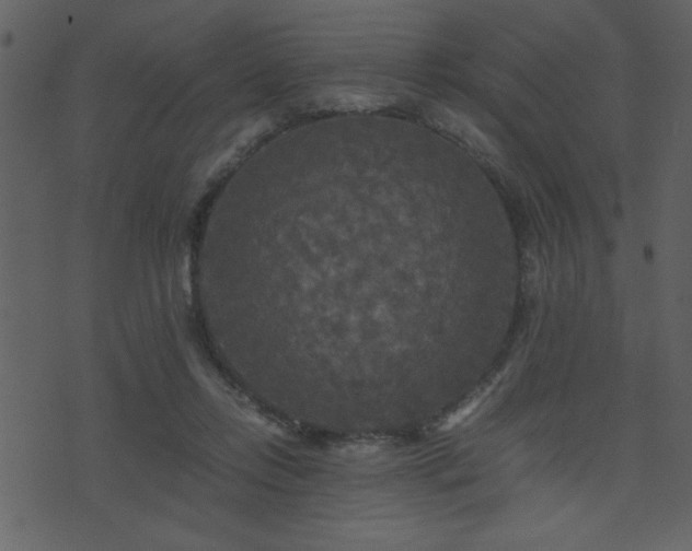 X0000071760358200606301136