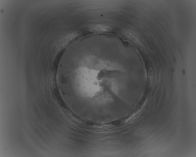 X0000071760359200606301136