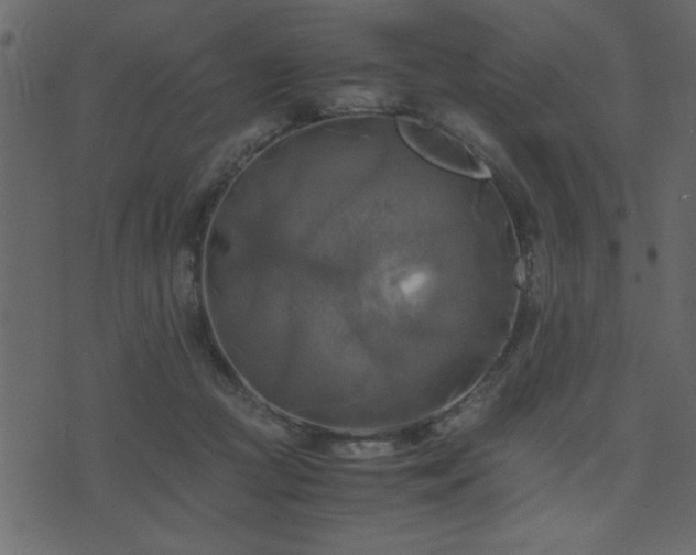 X0000071760361200606301136