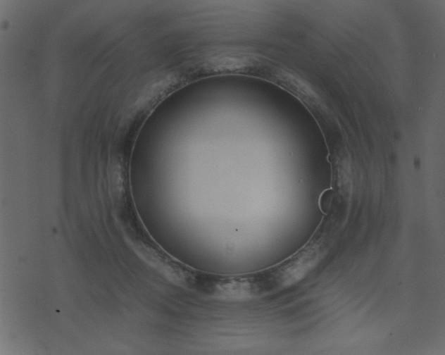 X0000071760362200606301136