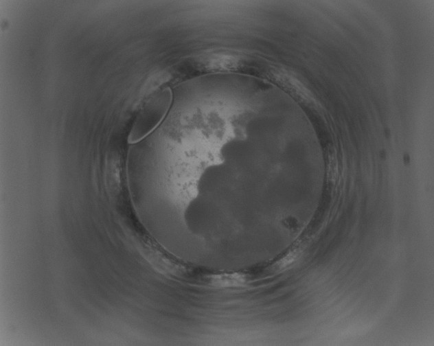 X0000071760363200606301136