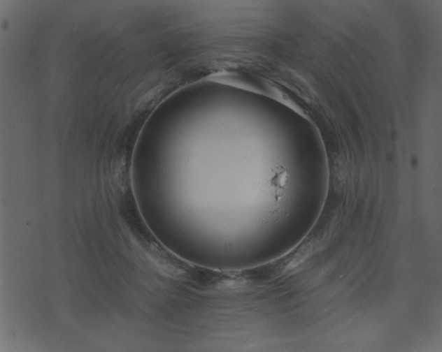 X0000071760364200606301136