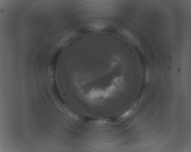 X0000071760366200606301136