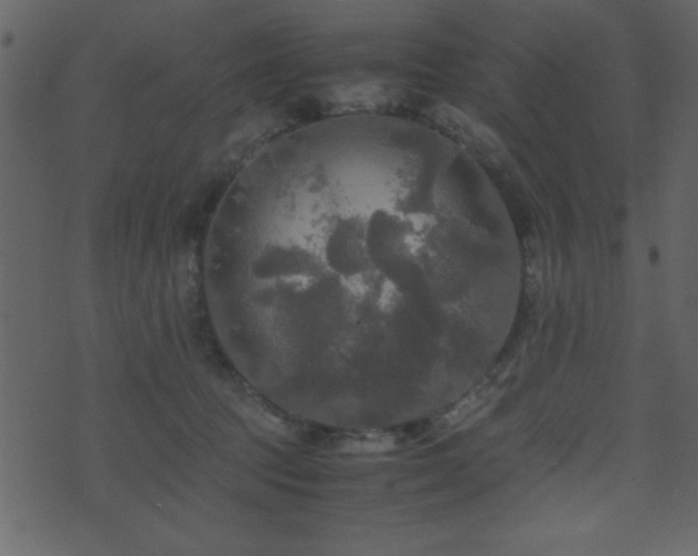 X0000071760369200606301136