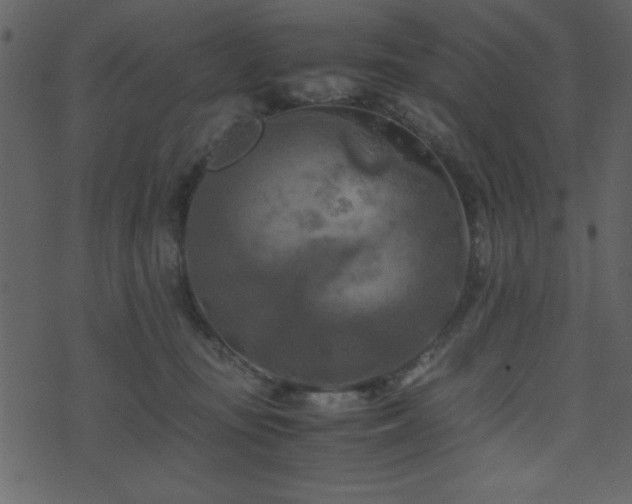 X0000071760371200606301136