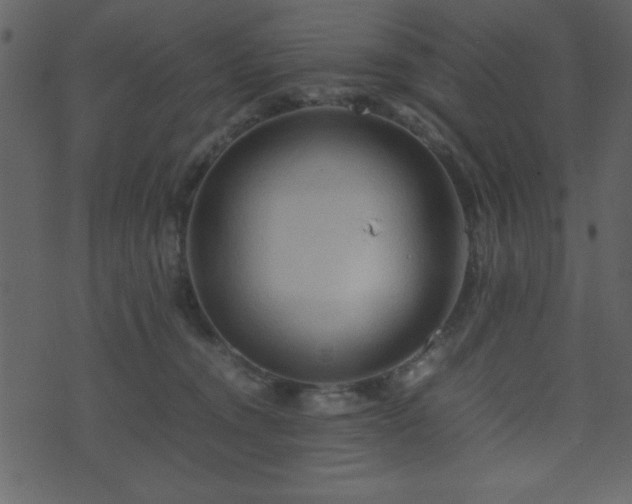 X0000071760372200606301136