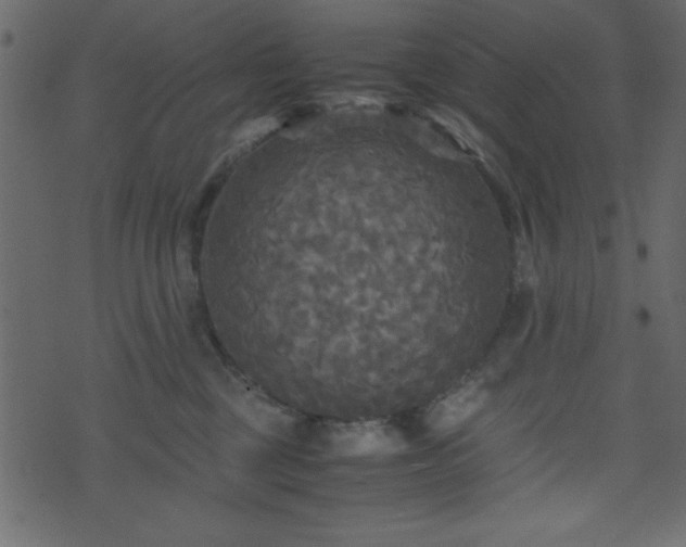 X0000071760377200606301136